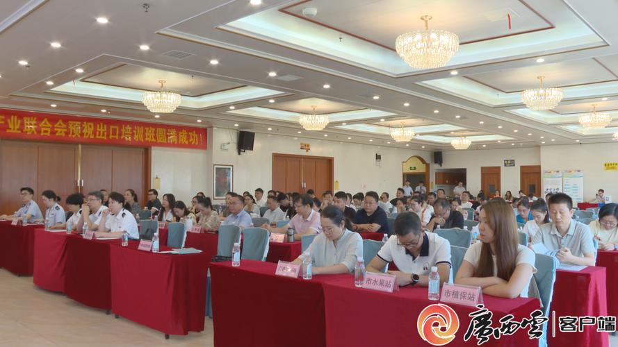南宁召开沃柑出口业务培训 助力“桂字号”水果出海
